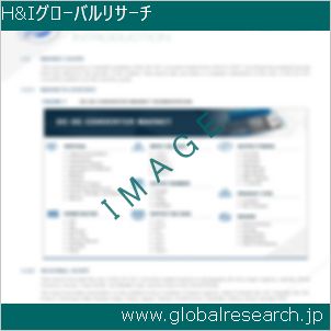 グローバルリサーチ調査レポートのイメージ